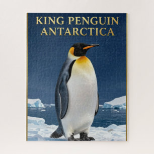 Puzzle 🐧 Pingüino Rey Antártida Fauna