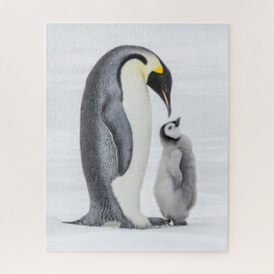 Puzzle Pingüino y pollo en hielo