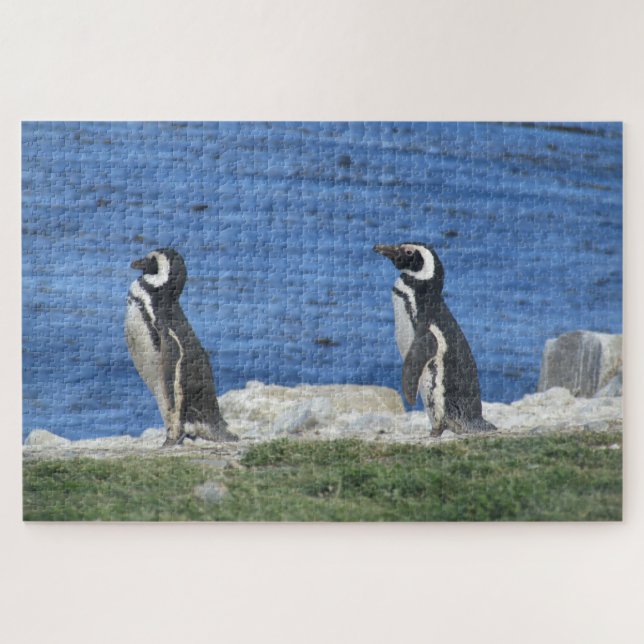 Puzzle pingüinos (Horizontal)