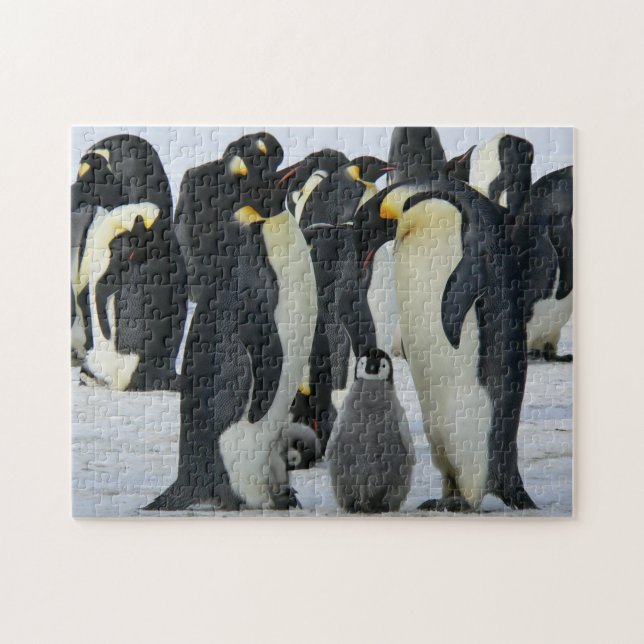 Puzzle Pingüinos (Horizontal)