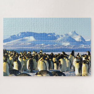 Puzzle Pingüinos