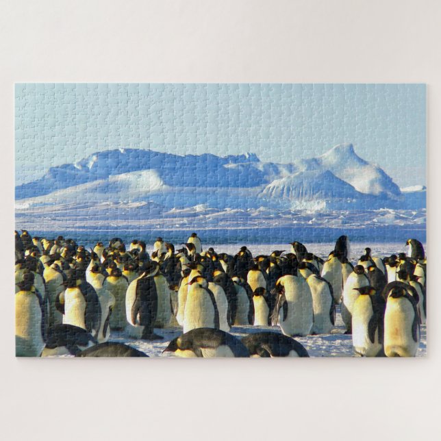Puzzle Pingüinos (Horizontal)