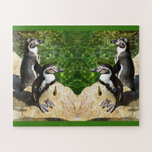 Puzzle Pingüinos