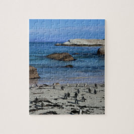 Puzzle Pingüinos africanos en la playa de los cantos