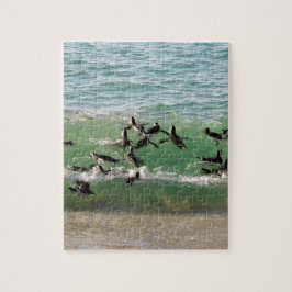 Puzzle Pingüinos africanos nadando en la playa