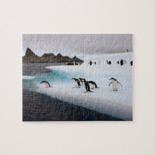 Puzzle Pingüinos de barbijo