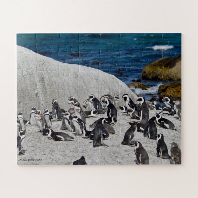 Puzzle Pingüinos en bahía de los cantos rodados (Horizontal)