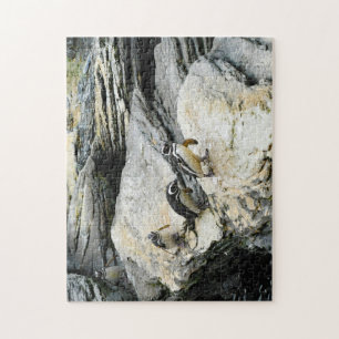 Puzzle Pingüinos Humboldt.