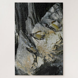 Puzzle Pingüinos Humboldt.