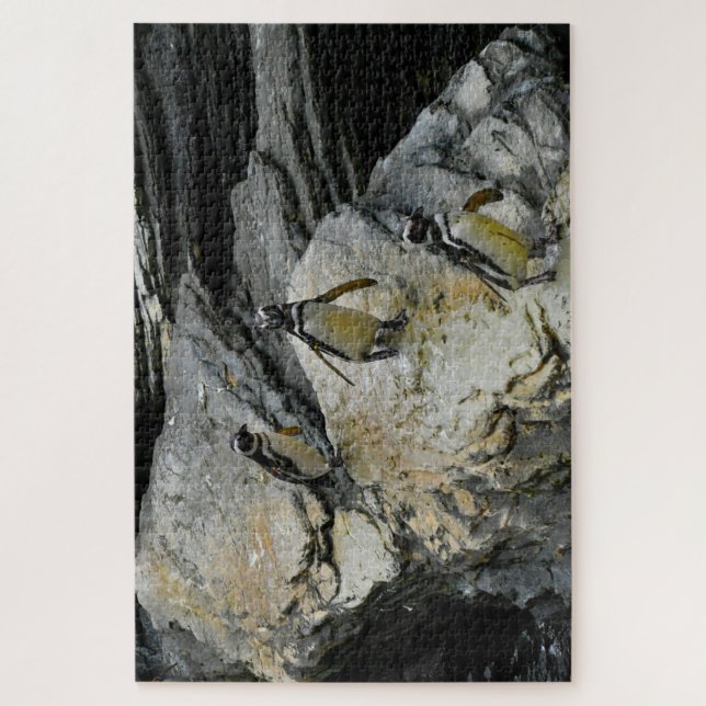 Puzzle Pingüinos Humboldt. (Vertical)