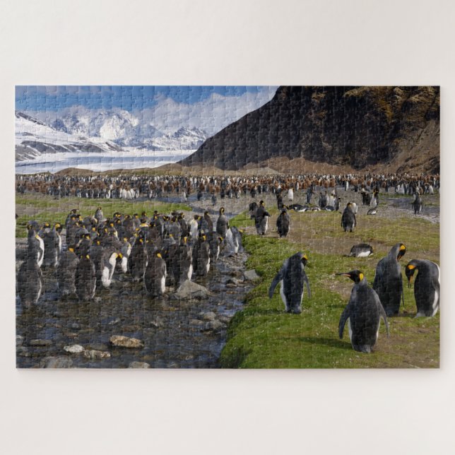 Puzzle Pingüinos y montañas del Rey en Georgia del Sur (Horizontal)