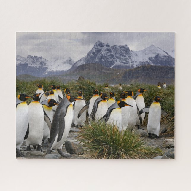 Puzzle Pingüinos y montañas del Rey en Georgia del Sur (Horizontal)