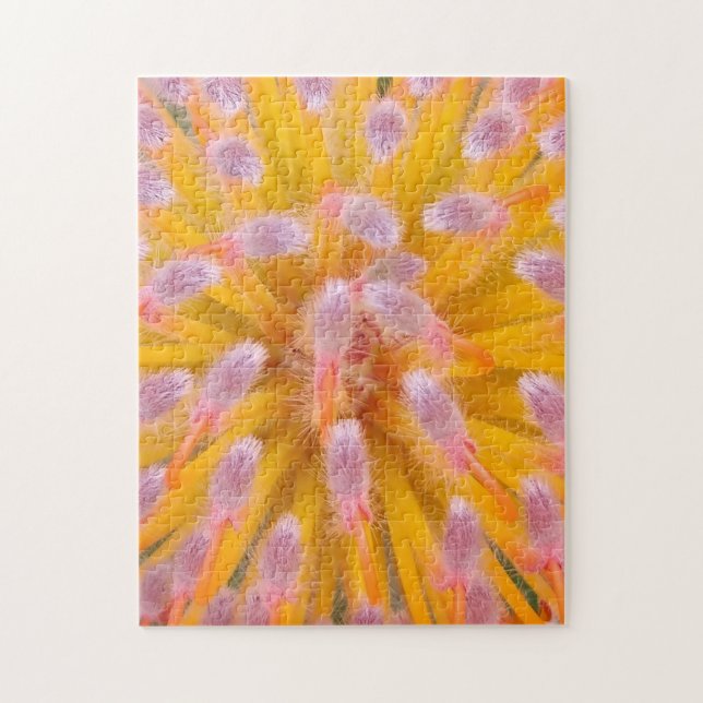 Puzzle Pink and Orange Pincushion Proteaceae (Vertical)