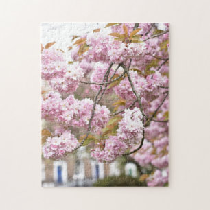 Puzzle Pink Cherry Blossoms Tree Islington London Reino U