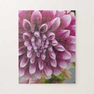 Puzzle Pink Dahlia