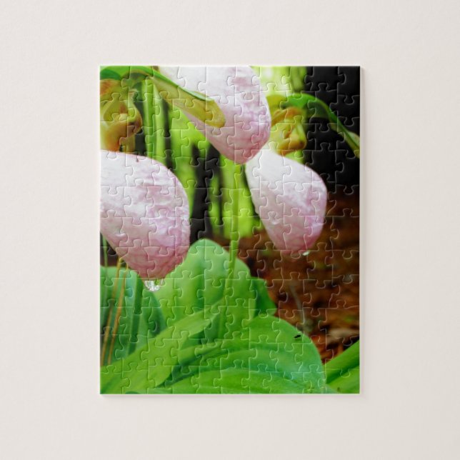 Puzzle Pink Lady Slipper wild Orchid (Vertical)