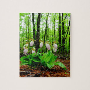 Puzzle Pink Lady Slipper Wild Orchid