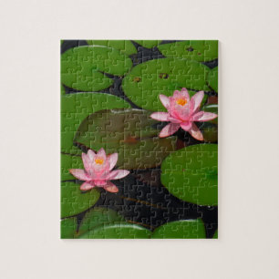 Puzzle Pink lotus water lily flower garden,