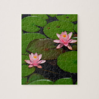 Puzzle Pink lotus water lily flower  garden,