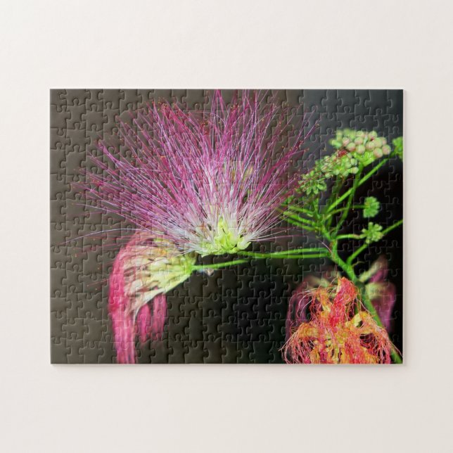 Puzzle Pink Mimosa Flower Bloom (Horizontal)