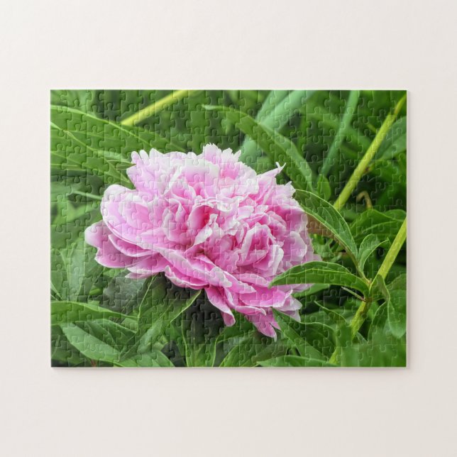 Puzzle Pink Peony (Horizontal)