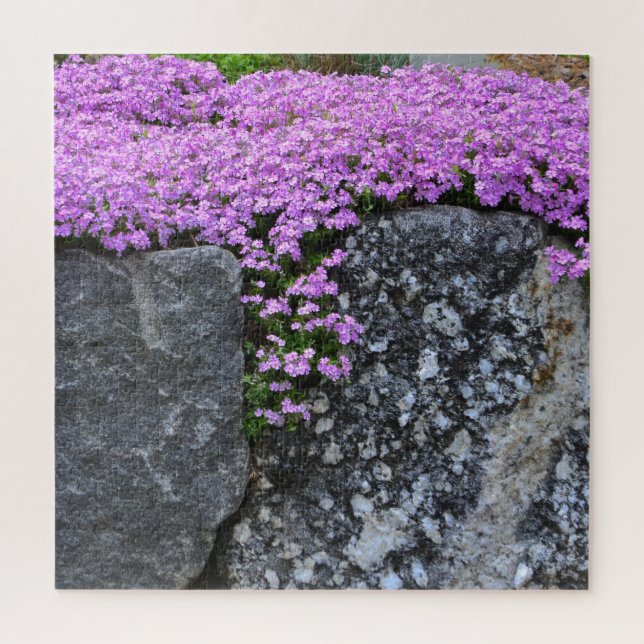 Puzzle Pink Phlox on Boulder (Vertical)