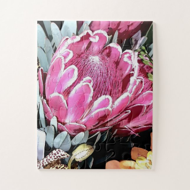 Puzzle Pink Queen Protea Australia native floral no.2 (Vertical)