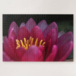 Puzzle Pink Waterlily