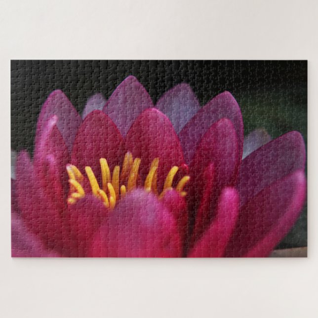 Puzzle Pink Waterlily (Horizontal)