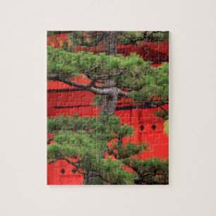 Puzzle Pino Bonsái