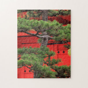 Puzzle Pino Bonsái