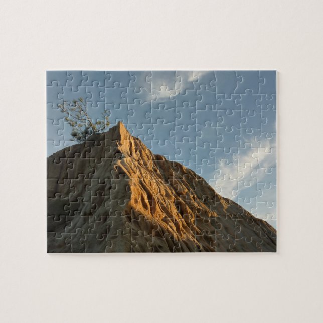 Puzzle Pino torrey en la costa de Sunset California (Horizontal)