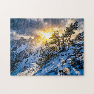 Puzzle Pino viejo de montaña en luz invernal dramática