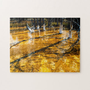 Puzzle Pinos de Ridgepole creciendo en Yellowstone