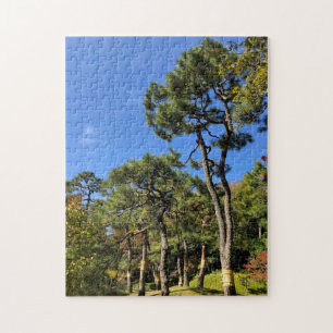 Puzzle Pinos en el cielo otoñal