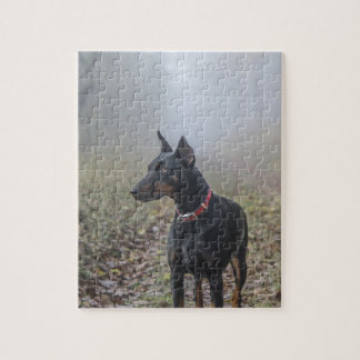 Puzzle Pinscher del Doberman