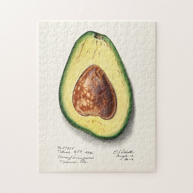 Puzzle Pintado de acuarela de aguacate (Persa) (Vertical)