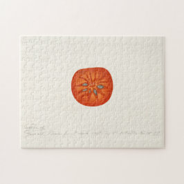 Puzzle Pintado de color de agua de frutas de Persimmon (D