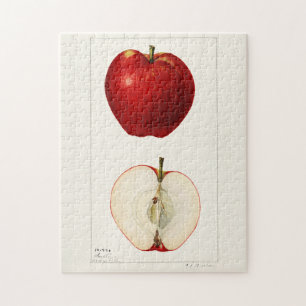 Puzzle Pintado de color de agua de frutas (Malus Domestic