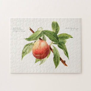 Puzzle Pintado de frutas con masa de bata (Prunus Persica