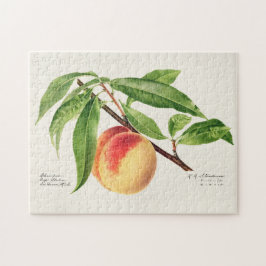 Puzzle Pintado de frutas de Peach Twig (Prunus Persica)