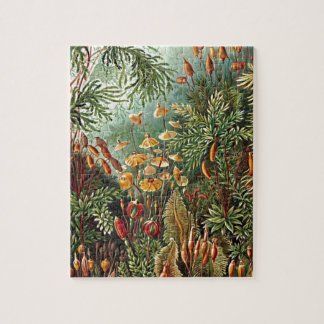 Puzzle Pintado de hongos Haeckel Moss Grass