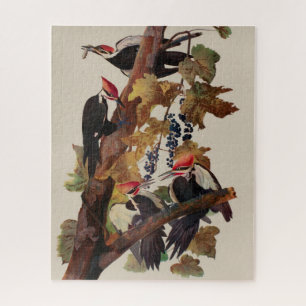 Puzzle Pintado de pájaro carpintero con basculante Audubo