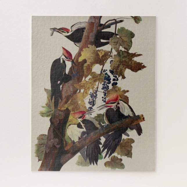 Puzzle Pintado de pájaro carpintero con basculante Audubo (Vertical)