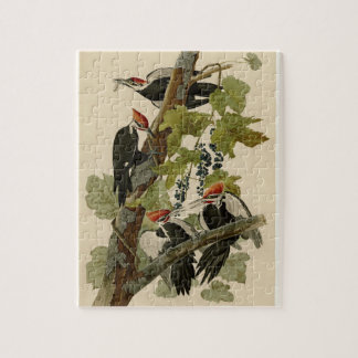 Puzzle Pintado de pájaro de lana perfumada con audubon