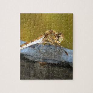 Puzzle Pintado realista de la libélula marrón ocre