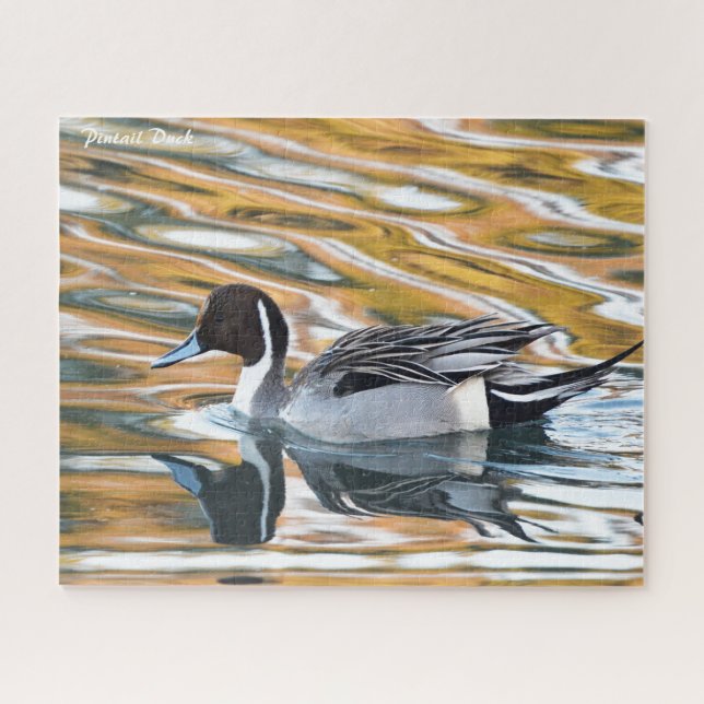 Puzzle Pintail Duck (Horizontal)