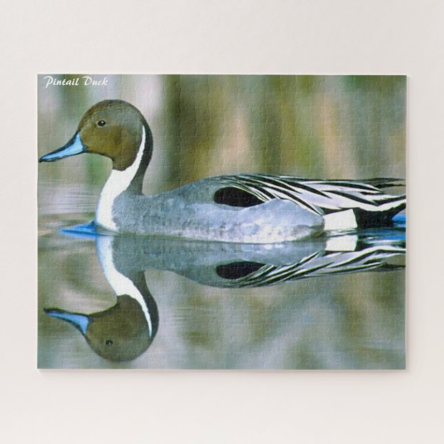 Puzzle Pintail Duck (Horizontal)