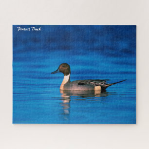 Puzzle Pintail Duck