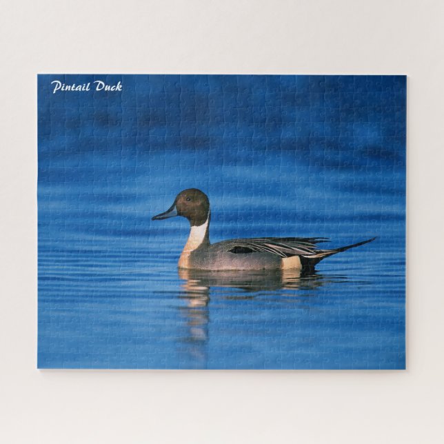 Puzzle Pintail Duck (Horizontal)